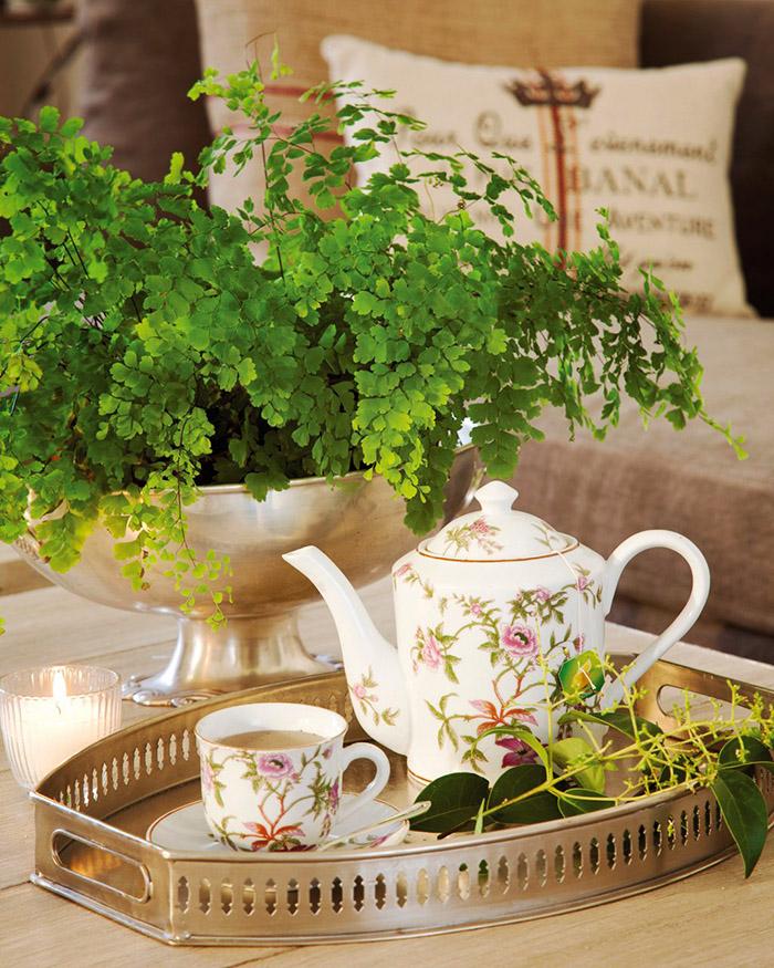 Parece tan delicado...