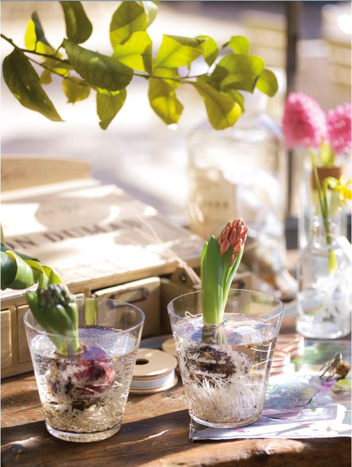 Para pasar un buen rato