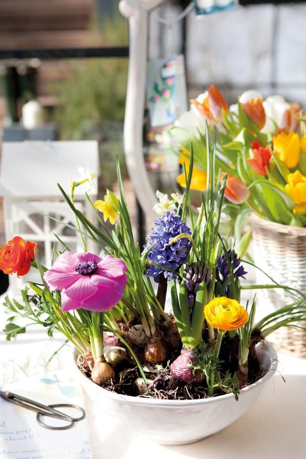 Para pasar un buen rato