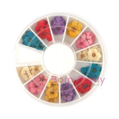 12 Real Color seca Flor Seca Consejos para 3D acrílico UV Gel uñas falsas Salón de Arte