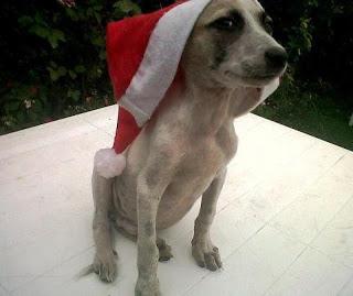 ya paso la fiesta la realidad nos llama