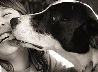 Ser Fiel no es Cuestión de perros