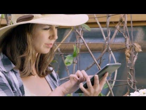 Imagen de previsualización de YouTube