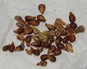 Llegada la Primavera di adios a la piel de naranja