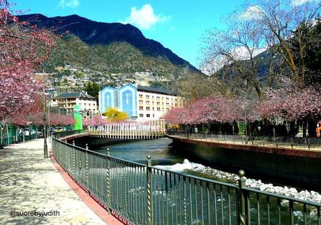 CAMOUFLAGE CAMOUFLAGE