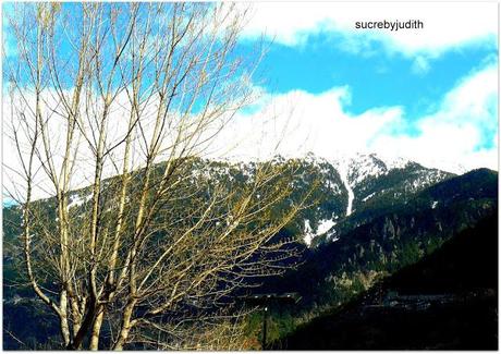 CAMOUFLAGE CAMOUFLAGE