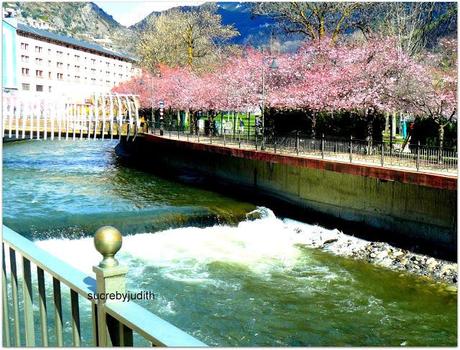 CAMOUFLAGE CAMOUFLAGE