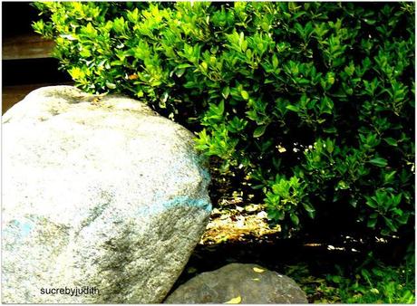 CAMOUFLAGE CAMOUFLAGE