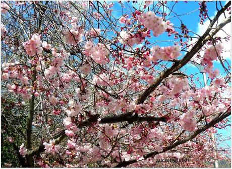 CAMOUFLAGE CAMOUFLAGE