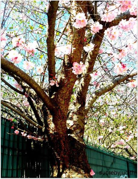 CAMOUFLAGE CAMOUFLAGE