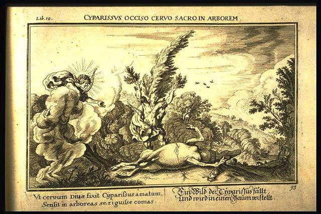 'Apolo y Cipariso' Referentes LGTB en la mitología clásica IX