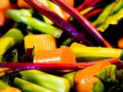 vitaminas sustancias orgánicas imprescindibles en...