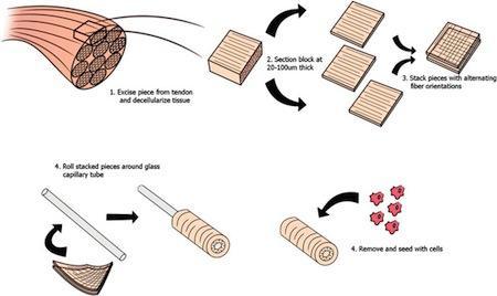 Nuevos métodos para la fabricación de colágeno