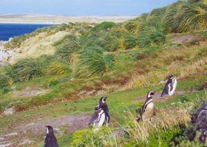 Las Malvinas.