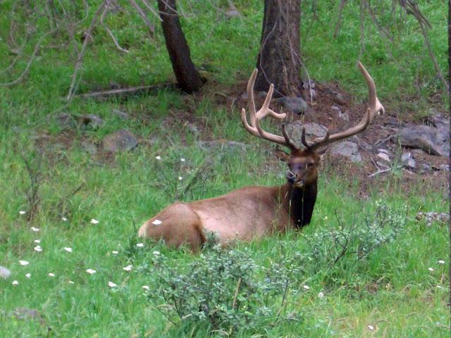 Parques Nacionales de Canadá - Parte II