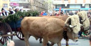 Desfile Carrozas Comida en la calle Aviles 2013, Video y fotos