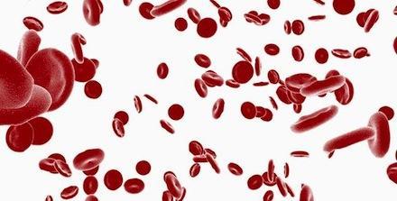 Anemia de Cooley. Origen y tratamiento