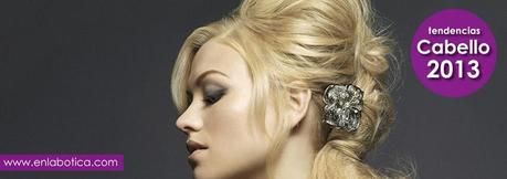 Cabello invierno 2013