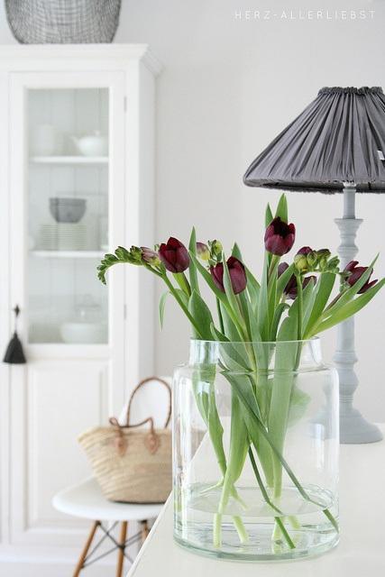 tulipanes18