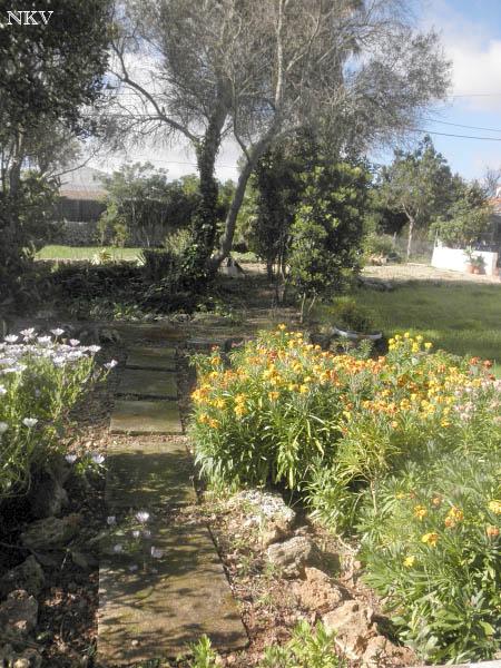 Caminando por el jardín