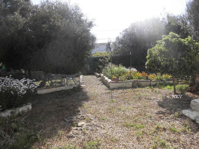 Caminando por el jardín