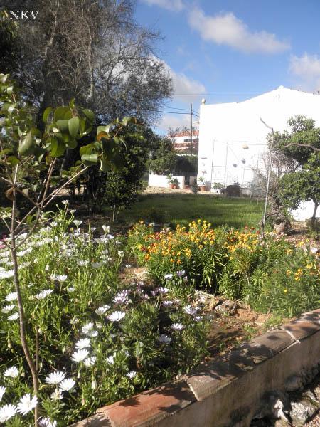 Caminando por el jardín