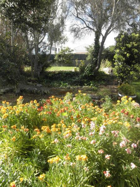 Caminando por el jardín