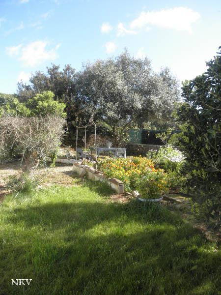 Caminando por el jardín