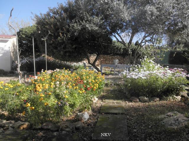 Caminando por el jardín