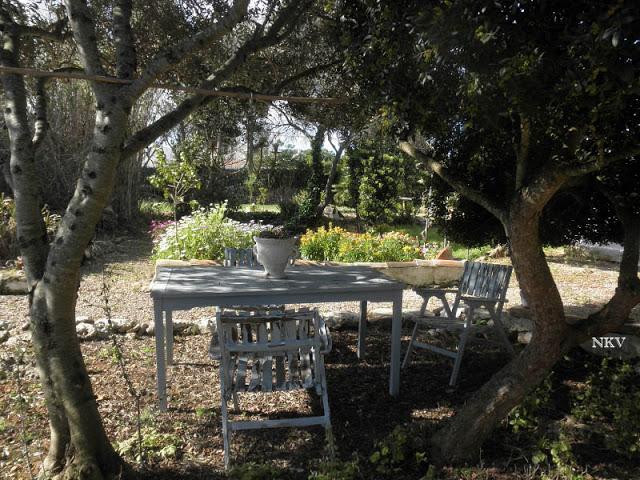 Caminando por el jardín