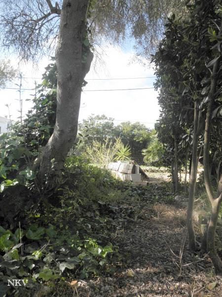 Caminando por el jardín