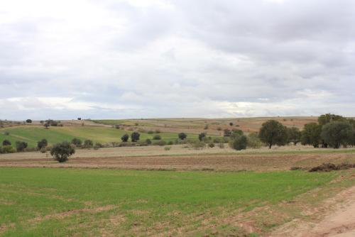 Campos de cultivo.Batres