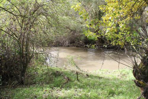 Río Guadarrama