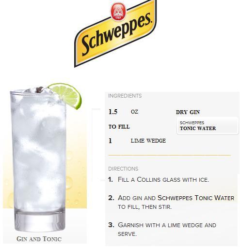 gin tonic schweppes pimienta rosa