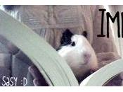 (32) Vlog (17): libros francés