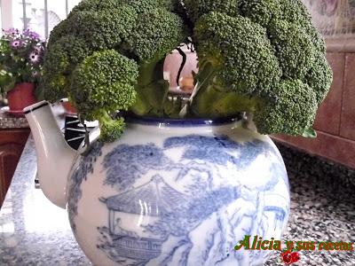 SEGUNDO MES DEL BLOG