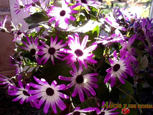 SEGUNDO MES DEL BLOG