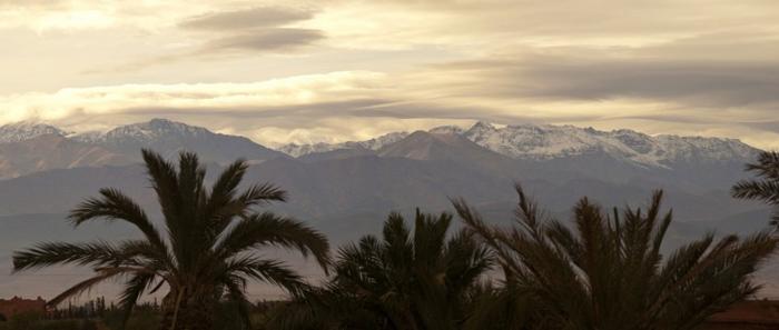 Las alfombras protagonistas