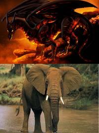 dragon elefante Dragones y elefantes: falsos problemas, falsas soluciones