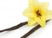 Conversaciones Piojo...