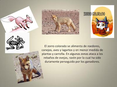 Animales de los Andes