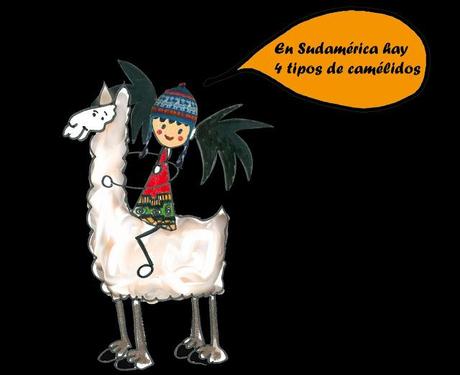 Camélidos de los Andes Camélidos de los Andes