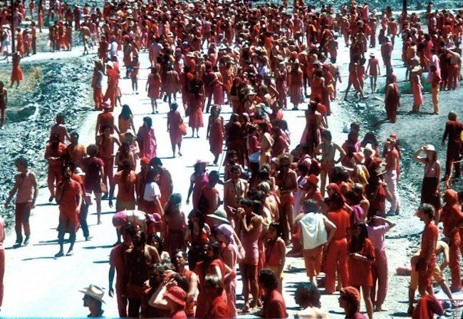 n120813318_38734607_3377