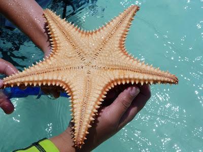 Los Roques day 2 Los Roques day 2