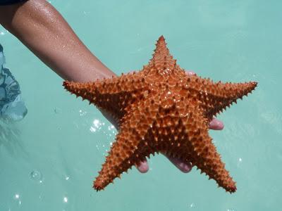 Los Roques day 2 Los Roques day 2