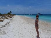 Roques