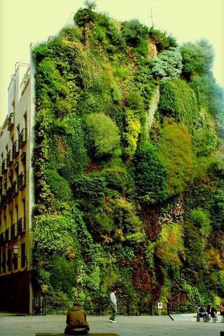 Aprender a construir un jardín vertical de verdad