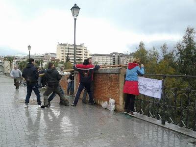 RESCATE DE GATOS ATRAPADOS POR LA CRECIDA DEL GUADIANA. (BADAJOZ)