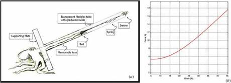 alargamiento de los tentáculos de los pulpos alargamiento de los tentáculos de los pulpos