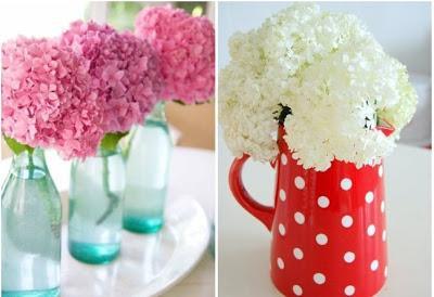 Vivan las flores y las mujeres bonitas Vivan las flores y las mujeres bonitas